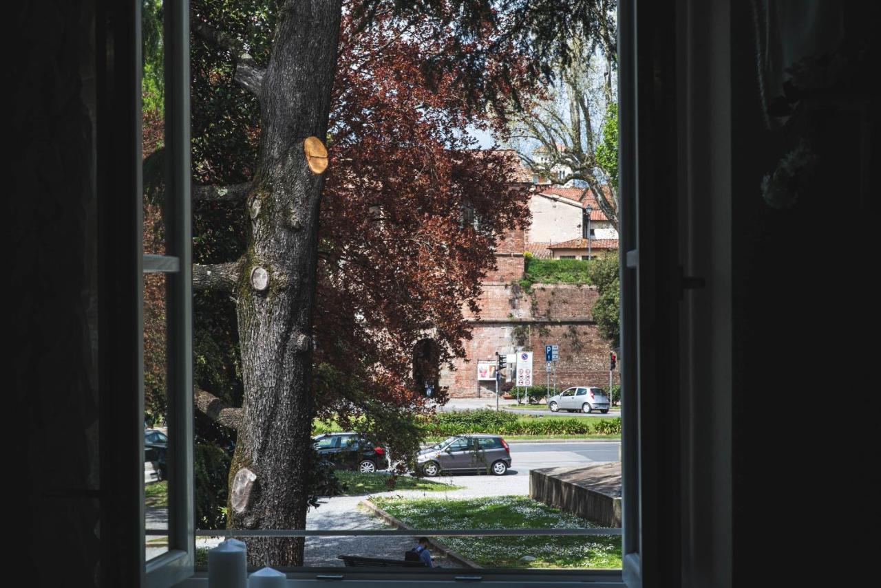 Belvedere Luxury Apartment, View On The Lucca Walls Eksteriør billede